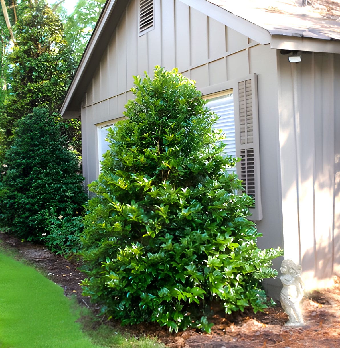 a house with bushes in front of a building