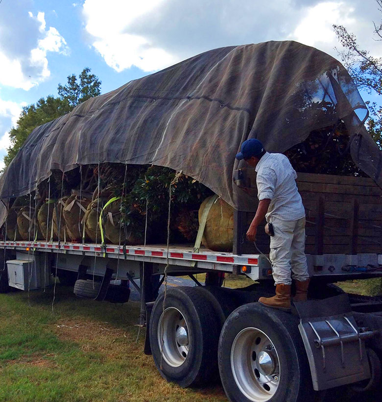 a man standing in front of a truck