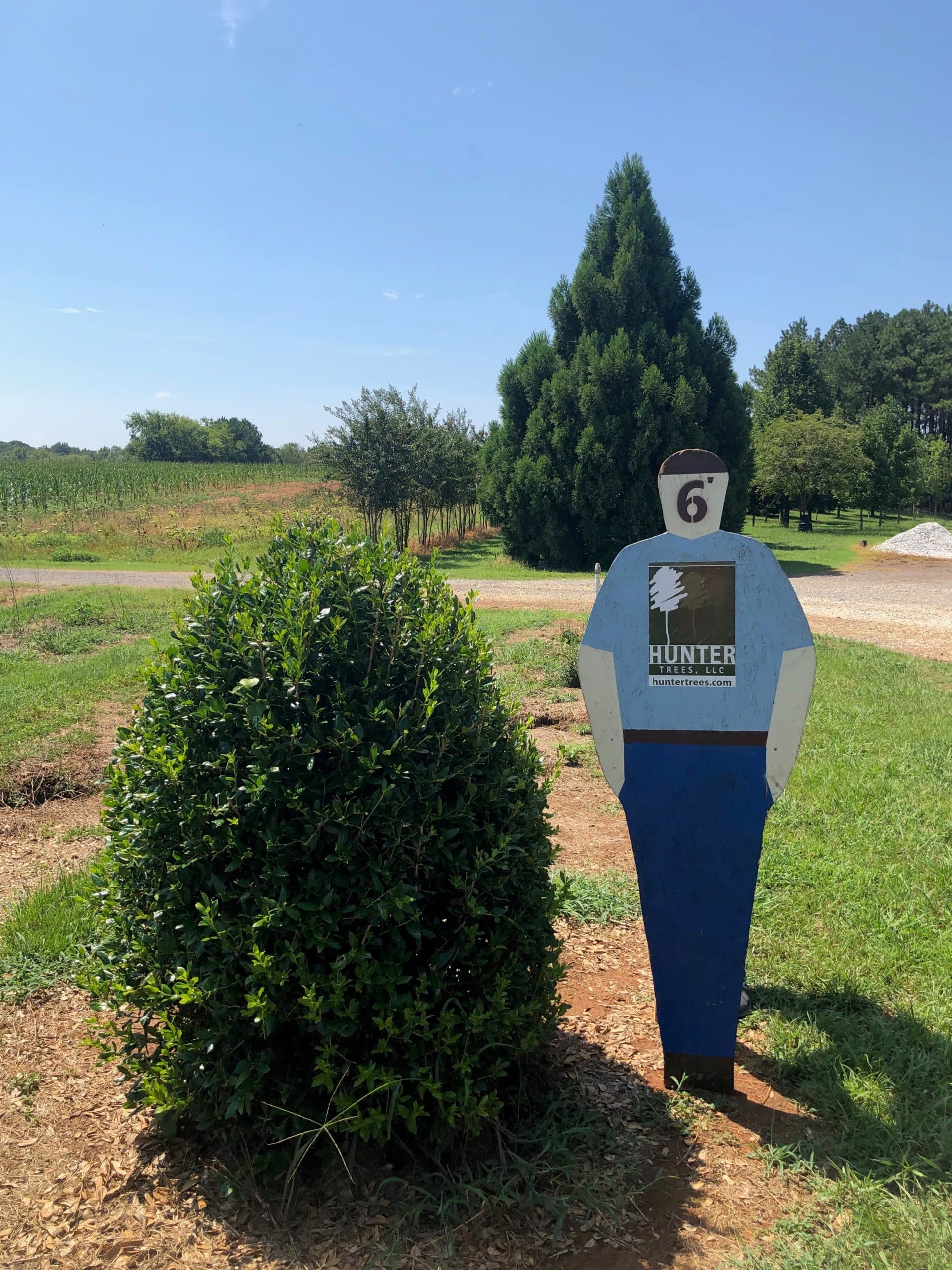 a man that is standing in the grass